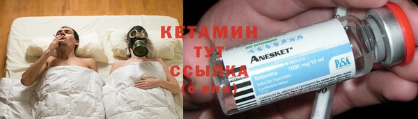 трава Пересвет