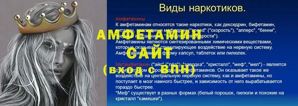 ПСИЛОЦИБИНОВЫЕ ГРИБЫ Вязники