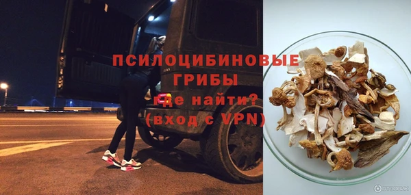трава Пересвет