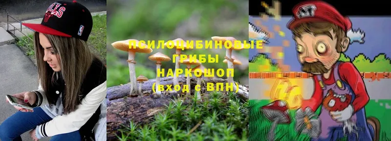 Галлюциногенные грибы MAGIC MUSHROOMS  купить  цена  Саров 