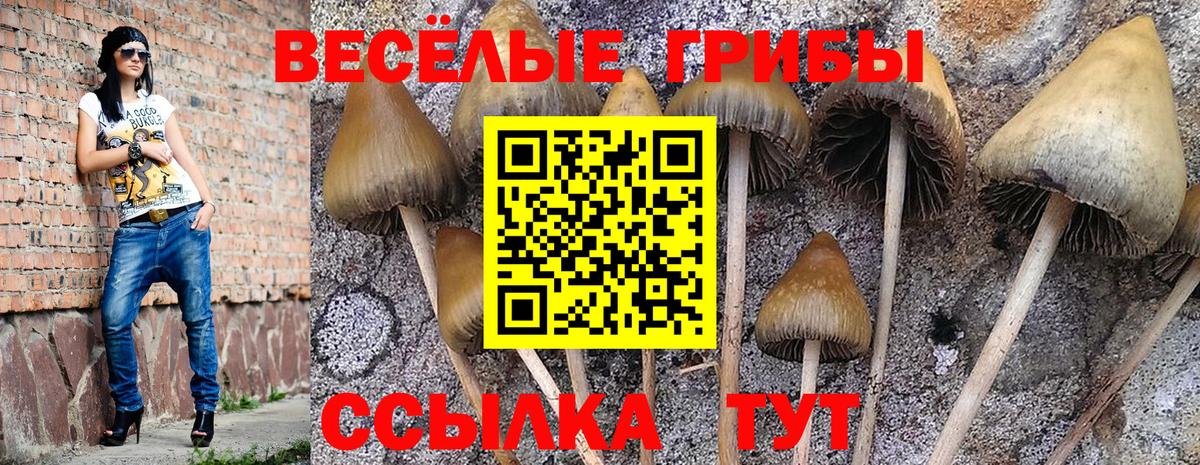 Галлюциногенные грибы мицелий Саров