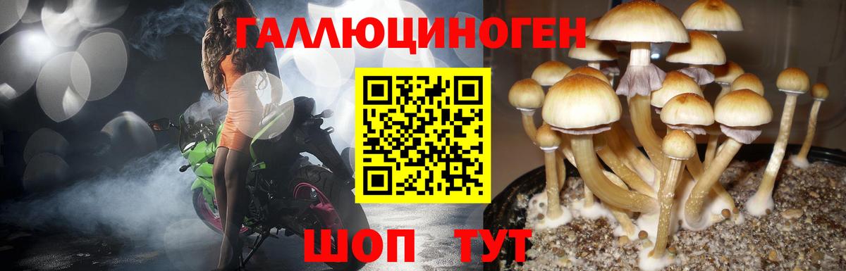 Псилоцибиновые грибы Magic Shrooms  Вход с VPN  Саров 
