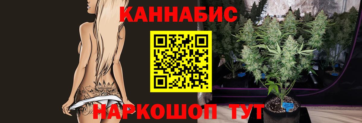 Бошки марихуана White Widow  Канабис семена  Бошки марихуана AK-47  Вход с VPN  Бошки марихуана THC 21%  Саров 